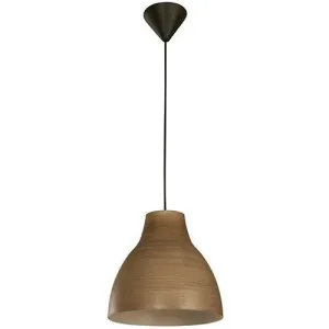 05066 1 Light Pendant Fixture in Brown