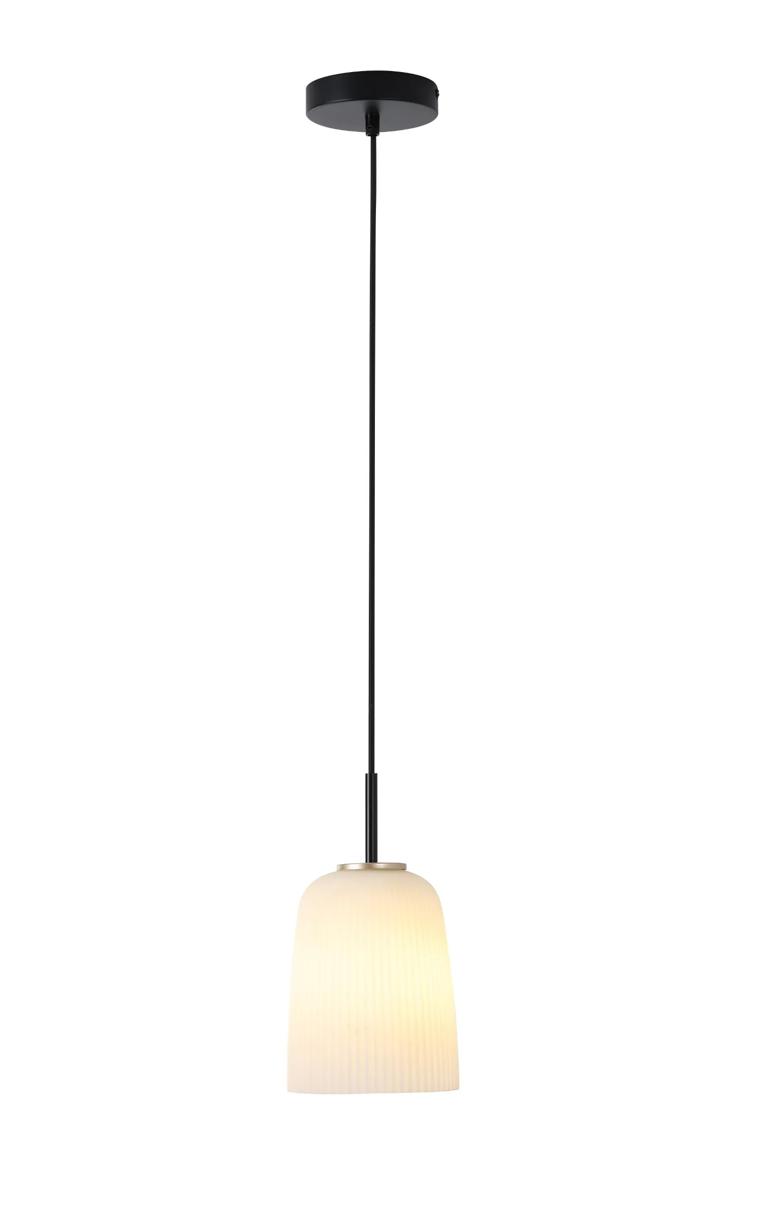 1307 Pendant Light in Black