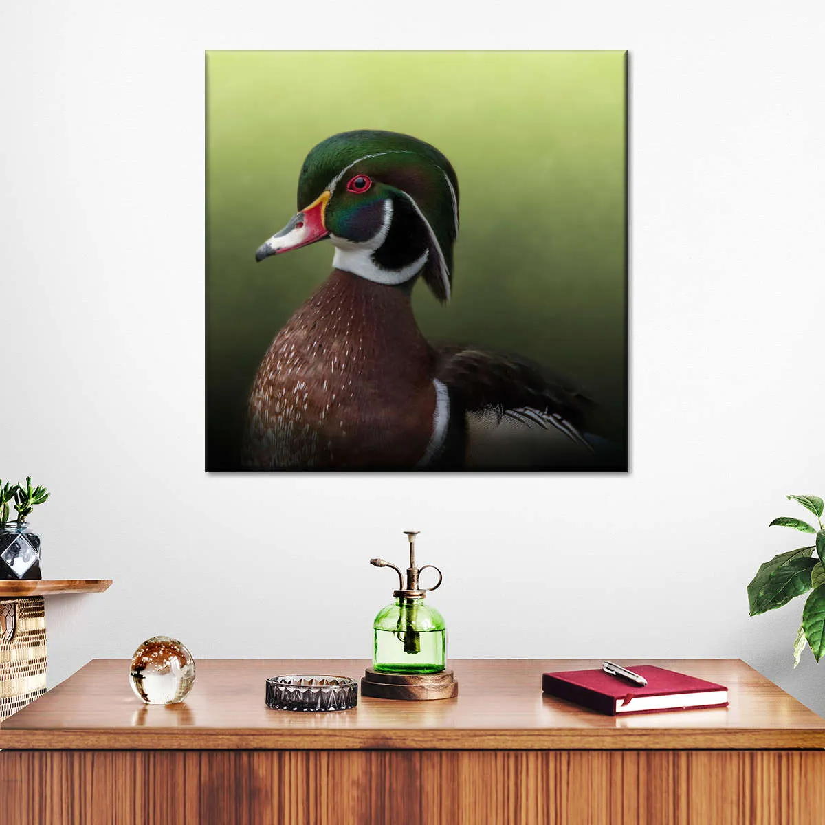 A Duck Of Many Colors Wall Art