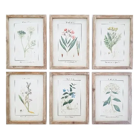 Botanic Flora  Prints