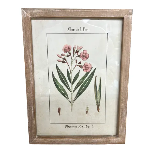 Botanic Flora  Prints