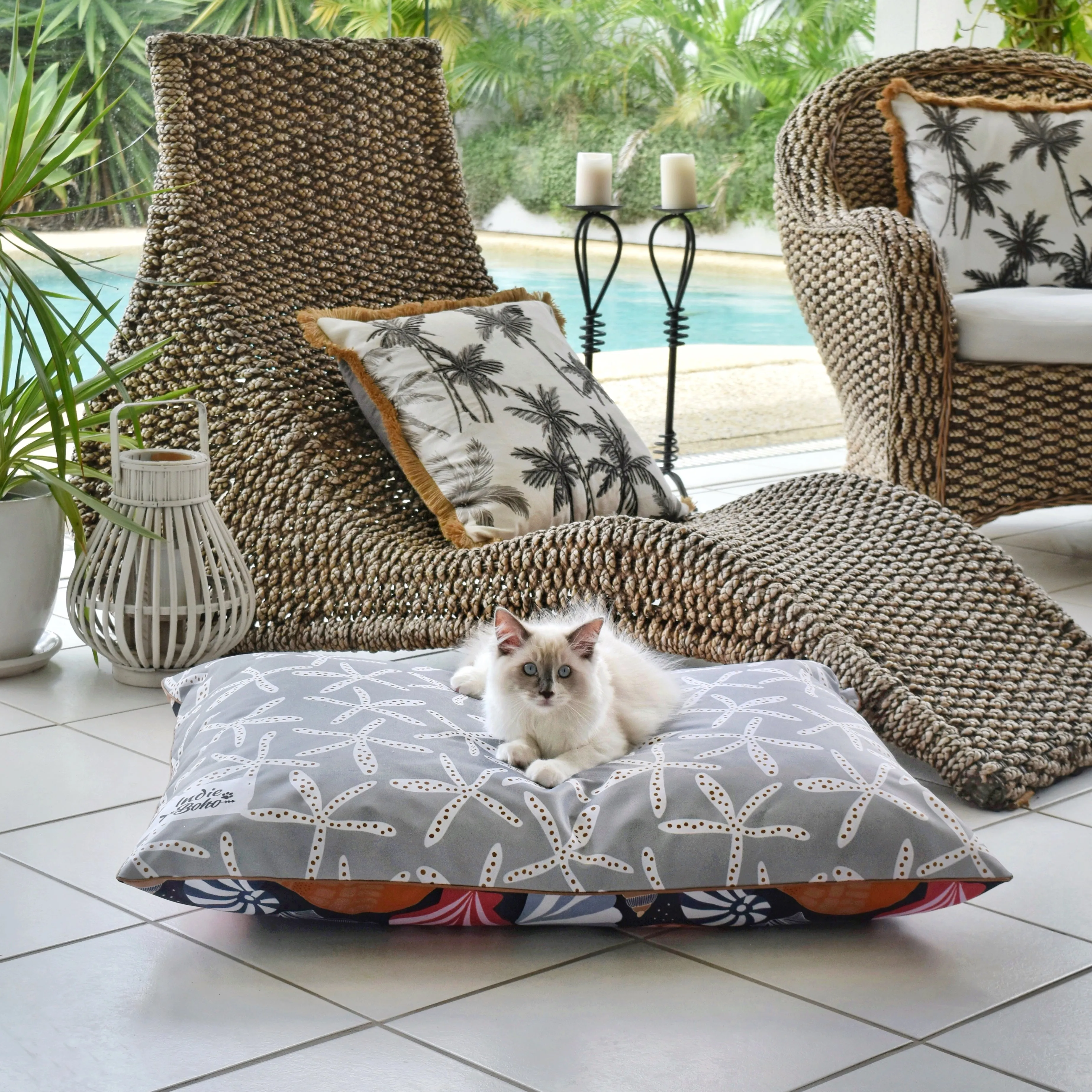 Daydream Shells – LARGE Dog Bed