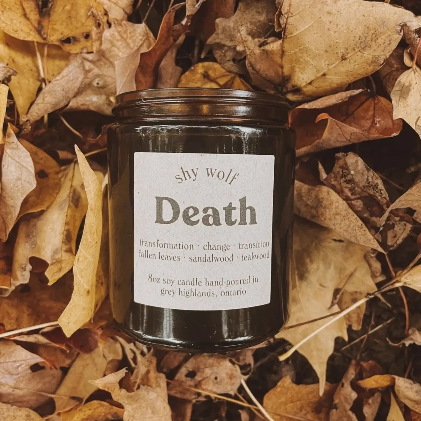 Death Candle by Shy Wolf